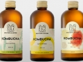 polish-kombucha