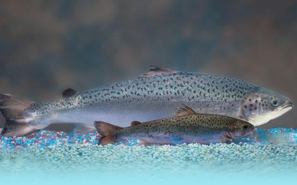 US authorities lift import ban on genetically engineered salmon