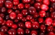 Ocean Spray introduces upcycled and clean label Cranberry Seeds