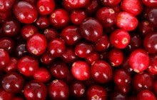 Ocean Spray introduces upcycled and clean label Cranberry Seeds