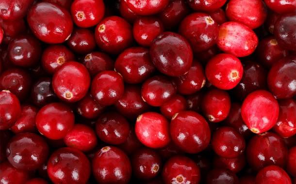 Ocean Spray introduces upcycled and clean label Cranberry Seeds