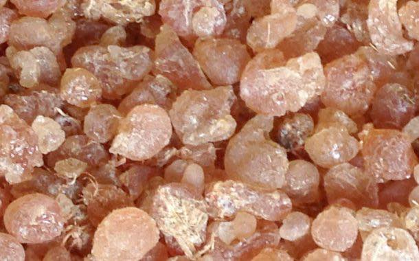 Alland & Robert to invest €11m in Normandy acacia gum plant