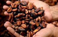 Lindt & Sprüngli reaches 100% traceable and verified cocoa beans