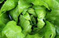 Fresh food vending machines to be 'graded like restaurants' in New York