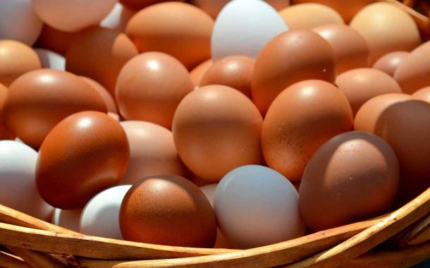 Cal-Maine Foods acquires egg assets of Featherland Egg Farms