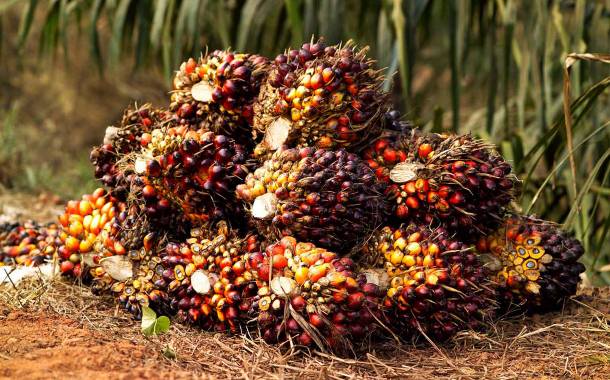 Nestlé to track palm oil and milk with blockchain technology pilot