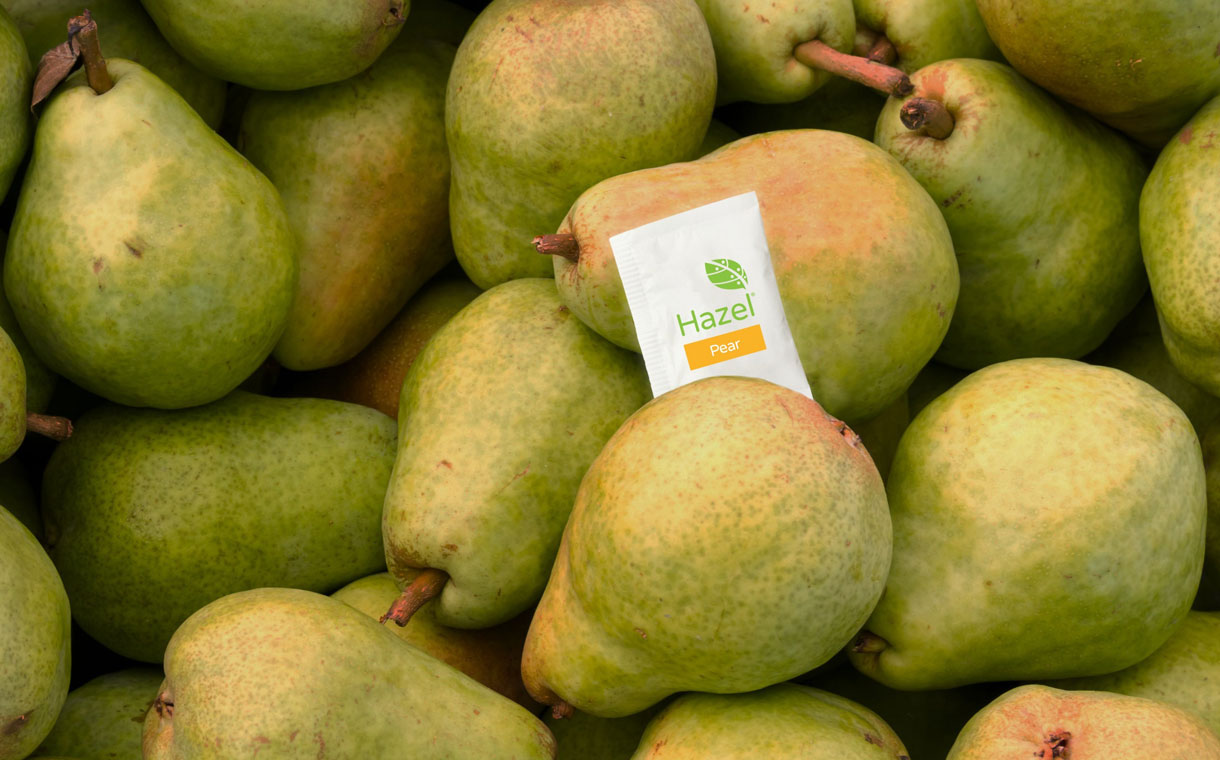 US food waste start-up Hazel Technologies closes $13m round