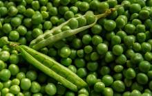 Ingredion invests $140m to boost growth in plant-based proteins