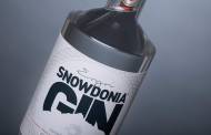 UK gin sales double over the last five years, reaching $2.2bn
