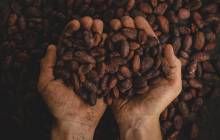 FoodBev Weekly News Bulletin – 19 February 2021