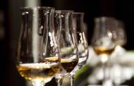 Australia and New Zealand to introduce alcohol warning labels