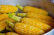 Dacsa Bunge Ukraine to build $14m corn processing plant