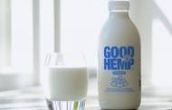 Good Hemp introduces dairy alternative chilled hemp milk