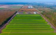 Parabel agrees distribution agreement with Stauber USA