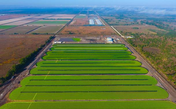 Parabel agrees distribution agreement with Stauber USA