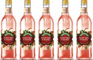 Britvic ramps up its Robinsons range with new seasonal flavours