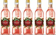 Britvic ramps up its Robinsons range with new seasonal flavours