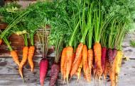 ‘Ugly’ produce delivery service Imperfect backed by Kevin Durant