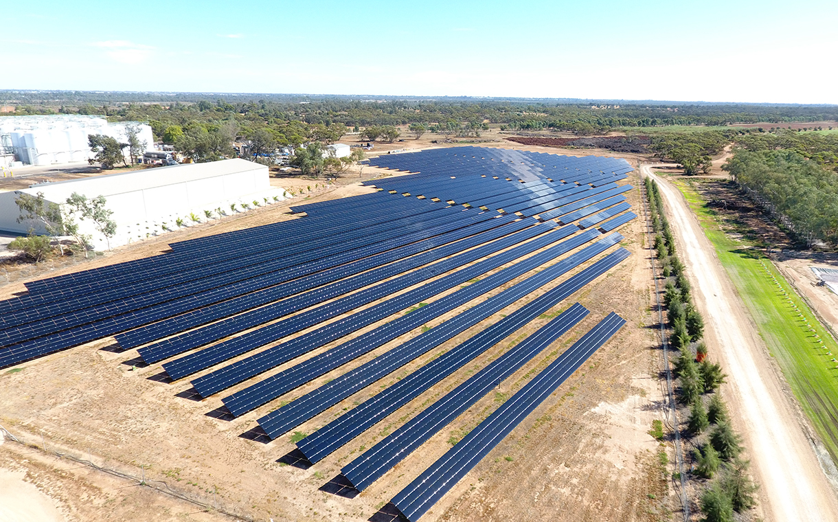 Wine firm Australian Vintage secures renewable energy deal