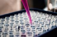 Food study unveils a new solution to flavour isolation