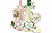 Treasury Wine Estates releases Blossom Hill Gin Fizz duo in UK