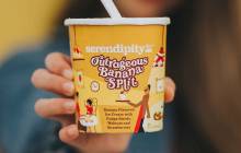 Serendipity Brands introduces ‘super-premium’ ice cream line