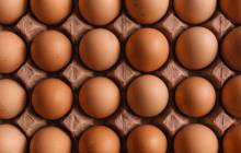 Clara Foods secures Series B funding round led by Ingredion