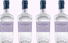 Hayman’s of London launches juniper-forward gin liqueur