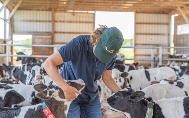 Chobani supports construction of "largest" research dairy in US