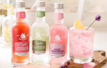 Fentimans reformulates drinks to create new lower-calorie range