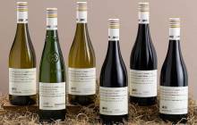 Treasury Wine Estates releases multi-country Squealing Pig line