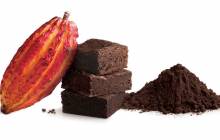Barry Callebaut debuts Bensdorp Natural Dark cocoa powder