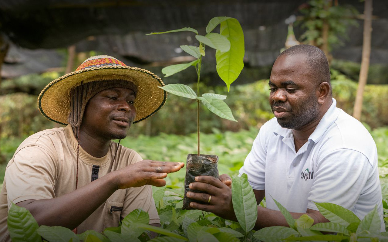 Cargill invests $125m in cocoa production and sustainability