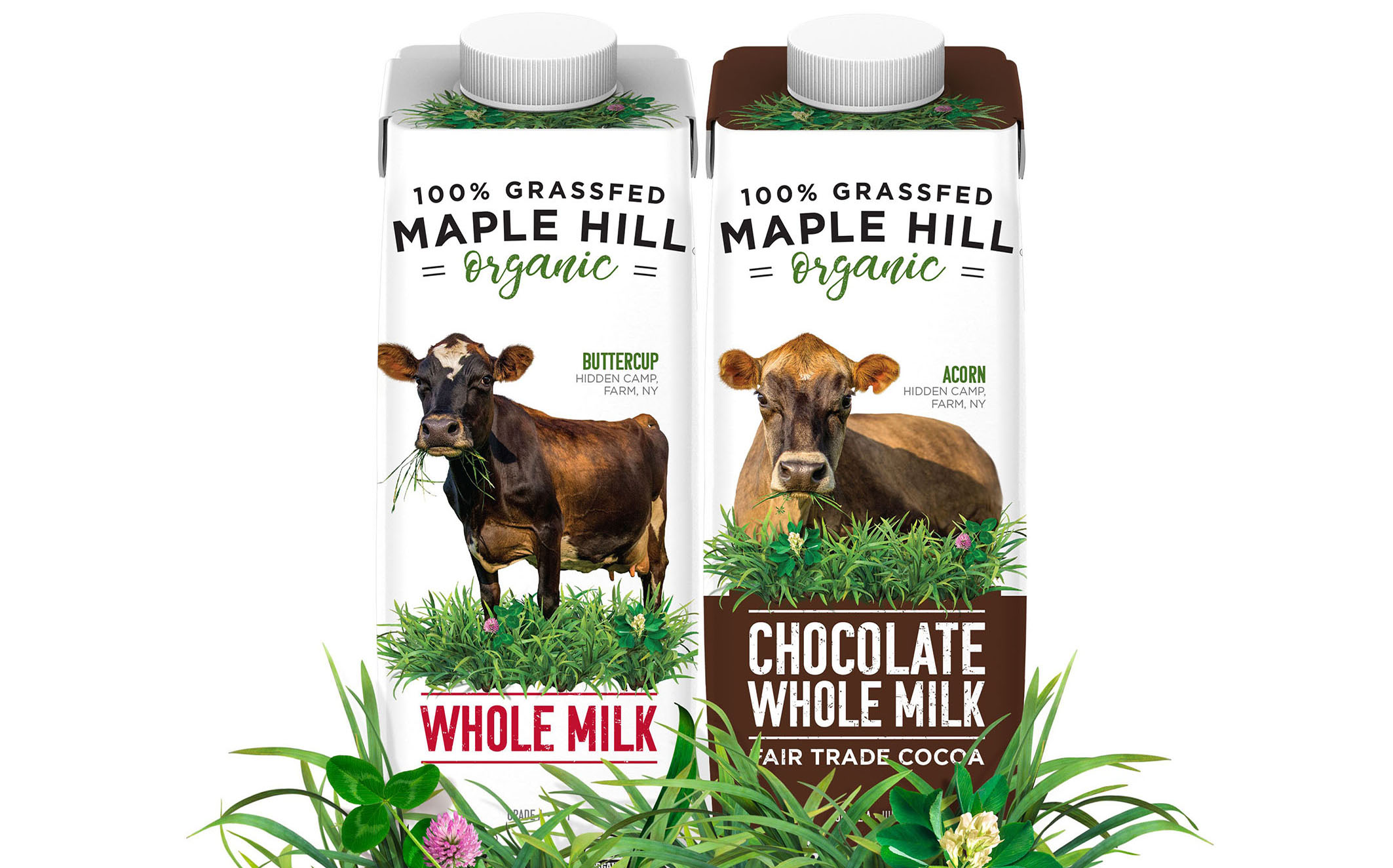 Maple Hill partners with SIG to launch single serve organic milk