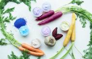 Diana Food launches new range of organic colours in Europe