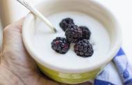 DuPont unveils Versilk enzyme for high-protein yogurt