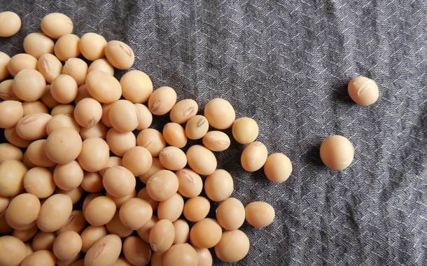 Benson Hill unveils 'ultra-high protein' soybean varieties