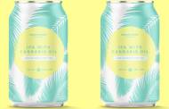 Green Times Brewing launches low-alcohol CBD beer in the UK