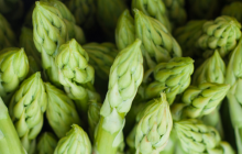 Five major trends driving the plant-based food market