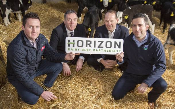 Dale Farm and ABP partner for sustainable NI dairy beef market