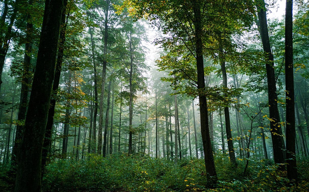 Sustainable agriculture fund receives $80 million investment