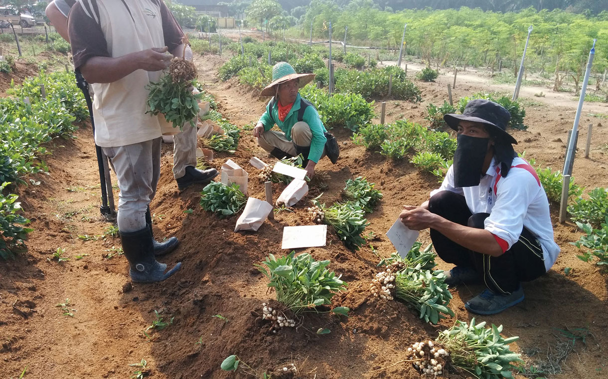 Research suggests sustainability a key selling point for new ingredients