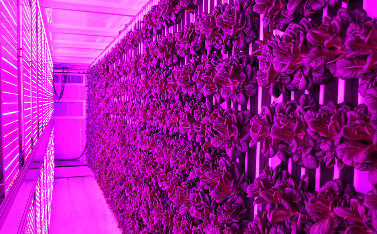 Freight Farms and Sodexo bring vertical farming to universities