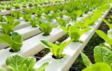 VTT and Valio launch accelerator programme for food start-ups