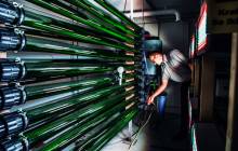 Denmark invests in microalgae research as sustainable protein
