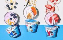 Kite Hill debuts plant-based sour cream and coconut milk yogurts