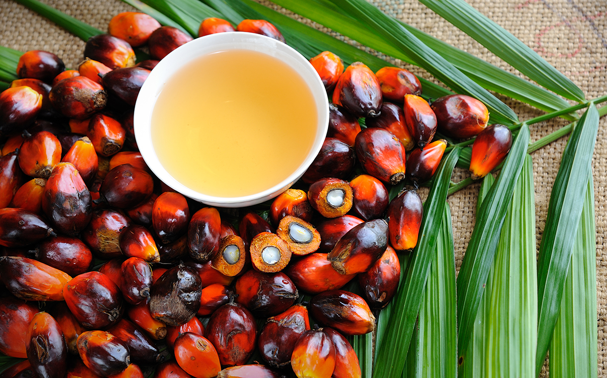 Cargill to invest $20m to upgrade palm oil facility