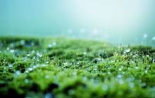 Chr. Hansen puts microbial platforms at centre of strategy