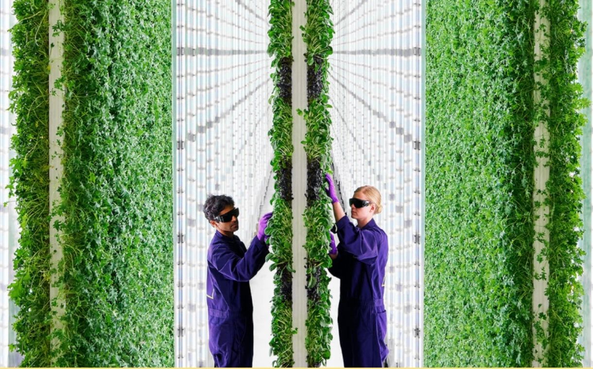 Plenty to invest $300m in vertical farm campus