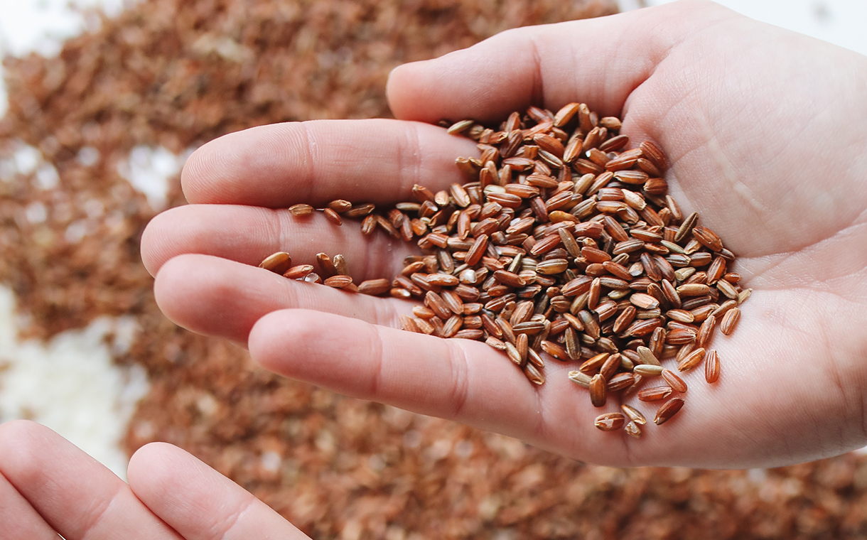 TeleSense raises $10.2m to digitise global grain supply chain